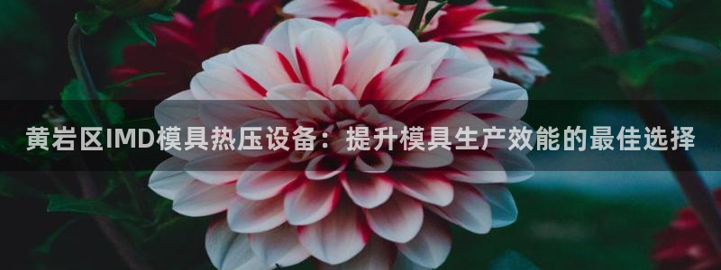 易倍申价格