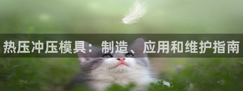 易倍纤瘦身三部曲的价格