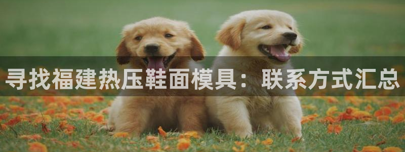 易倍单词软件