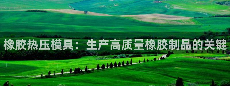 易倍达科技有限公司代运营