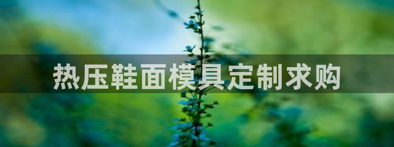 emc易倍出空款