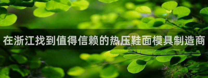 易倍emc网址网页版本登陆：在浙江找到值得信赖的热压鞋面