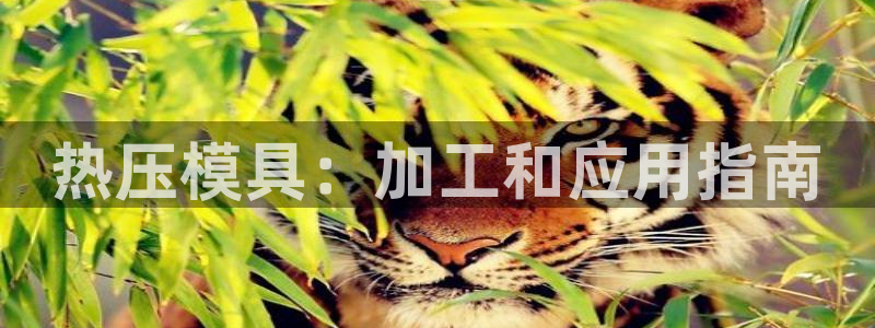 易倍纤多少钱