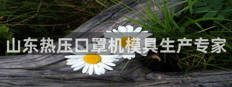 易倍单词官方网站的