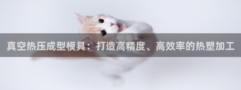 易倍达科技有限公司代运营