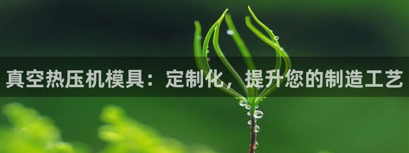 易倍申的价格：真空热压机模具：定制化，提升您的制造工艺