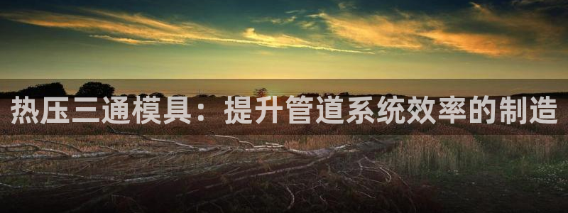 易倍app官网下载：热压三通模具：提升管道系统效率的制造