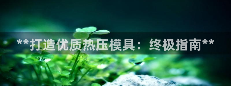 易倍emc网址网页版本登陆：**打造优质热压模具：终极指