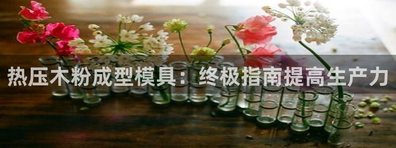 EMC易倍：热压木粉成型模具：终极指南提高生产力