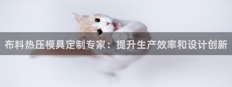 emc软件下载：布料热压模具定制专家：提升生产效率和设计
