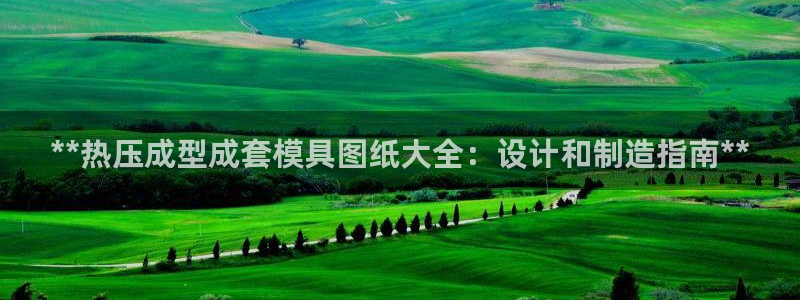emc倍频干扰：**热压成型成套模具图纸大全：设计和制造
