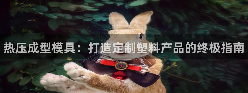 易倍app官网下载安装：热压成型模具：打造定制塑料产品的