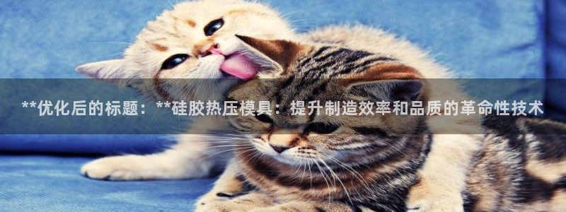 emc全站网页版：**优化后的标题：**硅胶热压模具：提