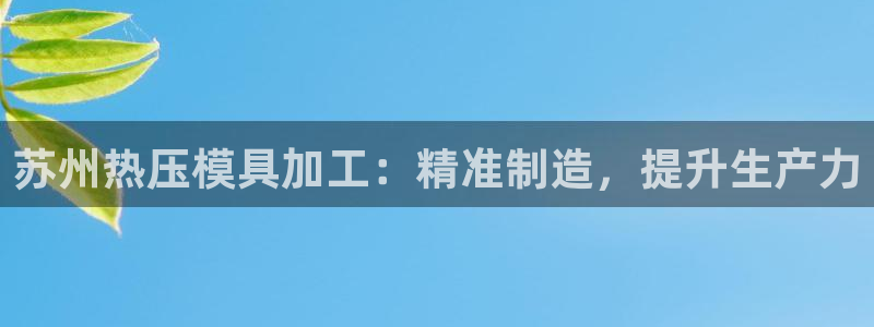 易倍达科技有限公司怎么样：苏州热压模具加工：精准制造，提