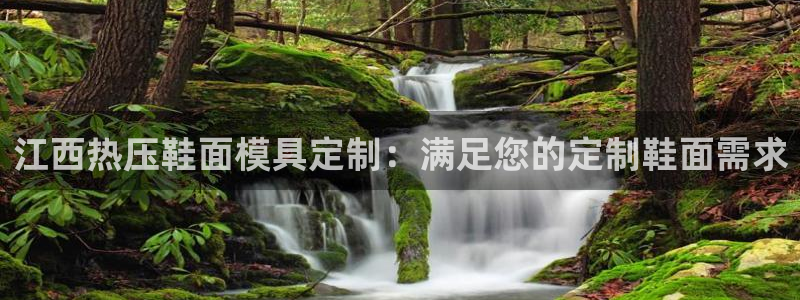 易倍单词官方网站的：江西热压鞋面模具定制：满足您的定制鞋