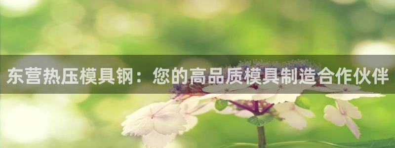 易倍全站下载：东营热压模具钢：您的高品质模具制造合作伙伴