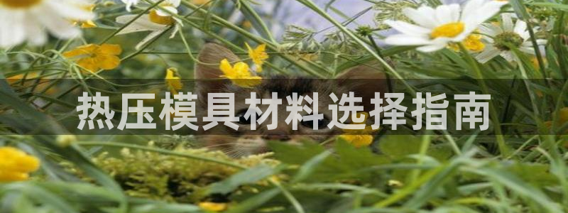 emc易倍电竞