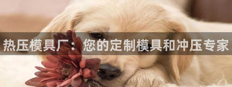 emc易倍全站：热压模具厂：您的定制模具和冲压专家