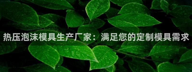 易倍电竞