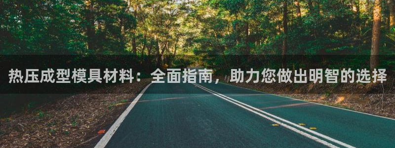 易倍单词app：热压成型模具材料：全面指南，助力您做出明