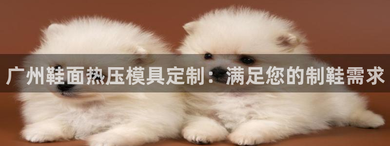 易倍易趣网