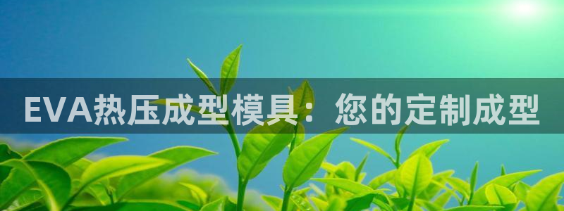 南京易倍易电子科技有限公司：EVA热压成型模具：您的定制
