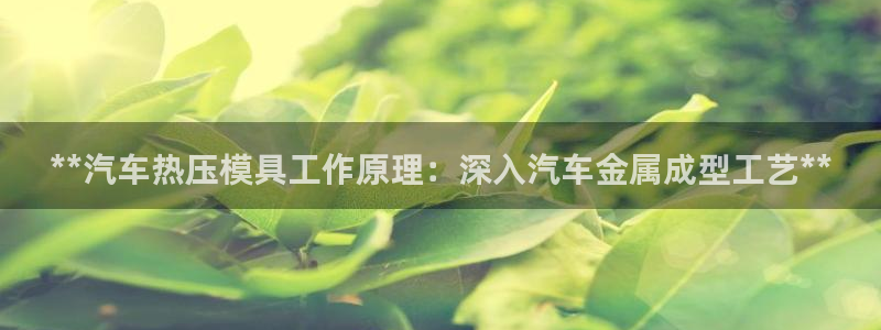 易倍申怎么样：**汽车热压模具工作原理：深入汽车金属成型