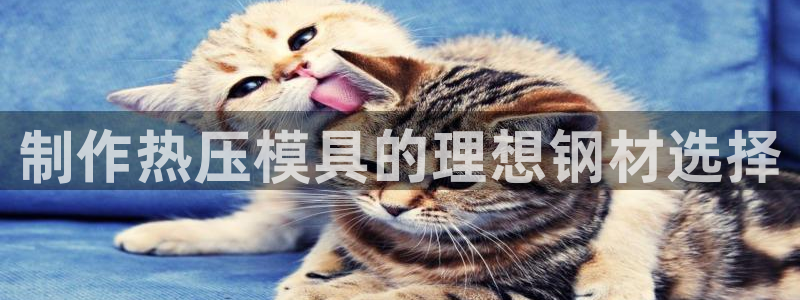 emc低频不过