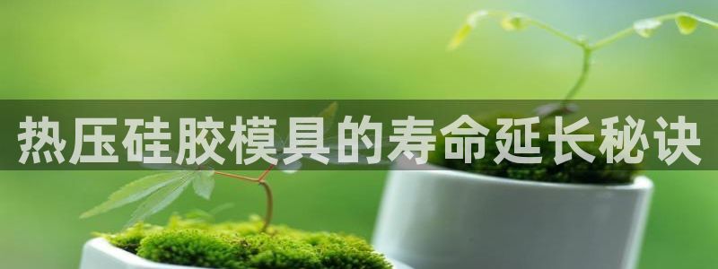 易倍申厂家