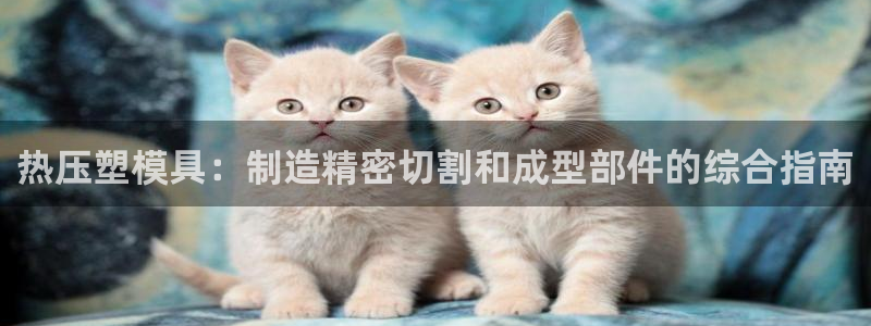 易倍emc安全吗：热压塑模具：制造精密切割和成型部件的综