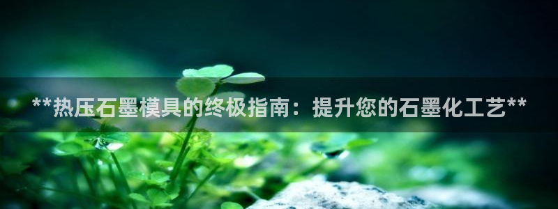 北京易倍思教育怎么样：**热压石墨模具的终极指南：提升您