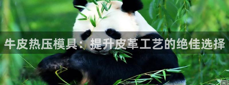 易倍申生产厂家