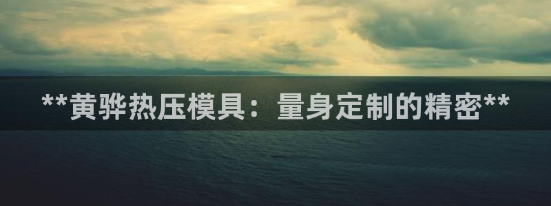 emc易倍官网登录首页：**黄骅热压模具：量身定制的精密