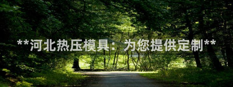 emc易倍官网app：**河北热压模具：为您提供定制**
