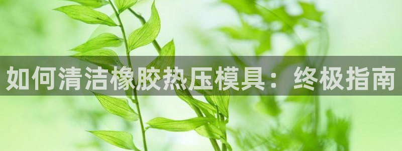 易倍电竞