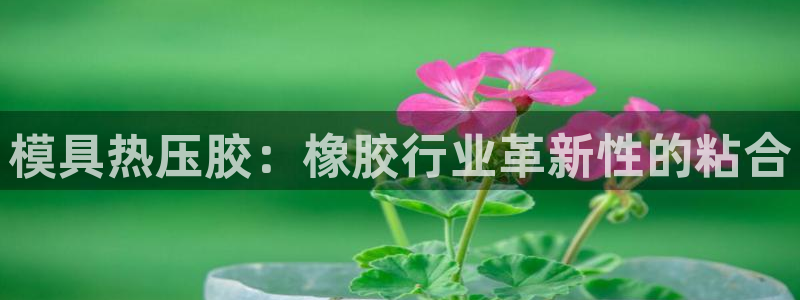 易倍纤怎么使用：模具热压胶：橡胶行业革新性的粘合