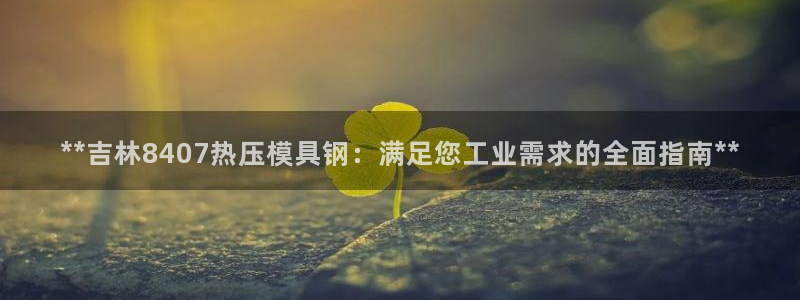 易倍网络技术有限公司官网：**吉林8407热压模具钢：满