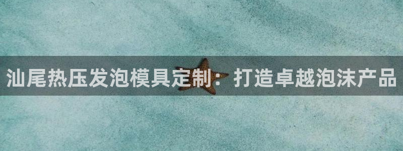 emc易倍官网首页进入：汕尾热压发泡模具定制：打造卓越泡