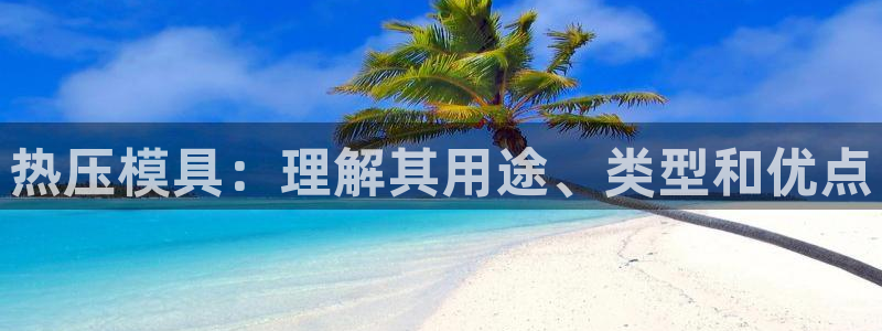 易倍单词登录网站：热压模具：理解其用途、类型和优点