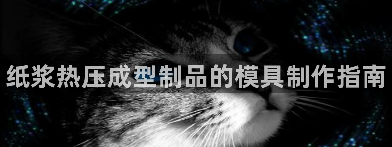 易倍单词官方网站的