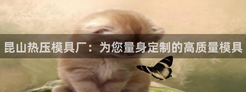 emc易倍官网app：昆山热压模具厂：为您量身定制的高质