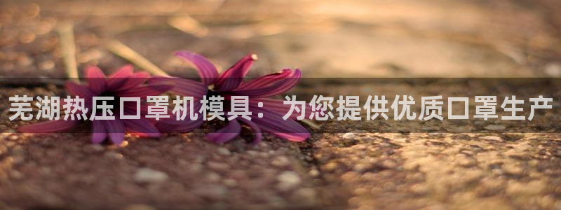 易倍申和易倍清的区别：芜湖热压口罩机模具：为您提供优质口