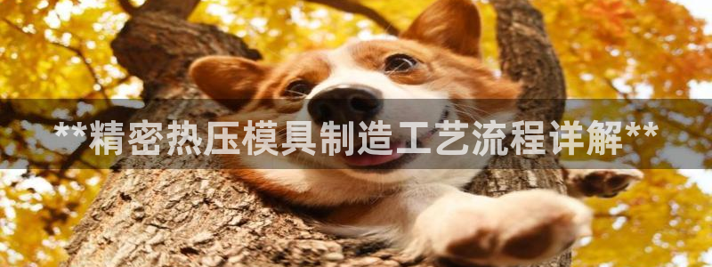 emc易倍官网app