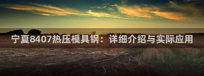 易倍纤减肥反弹不