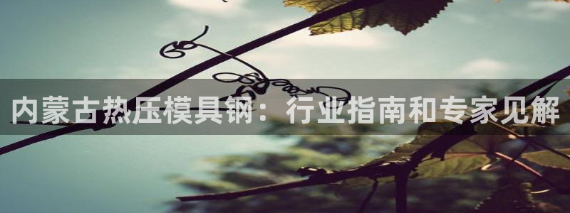 EMC易倍让身份验证