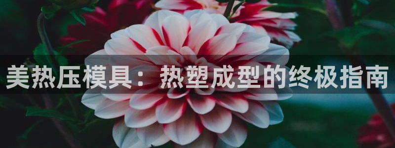 易倍网络技术有限公司怎么样：美热压模具：热塑成型的终极指