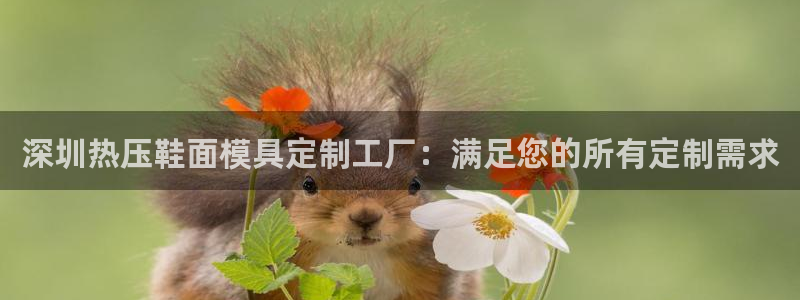 emc倍频干扰怎么解决：深圳热压鞋面模具定制工厂：满足您
