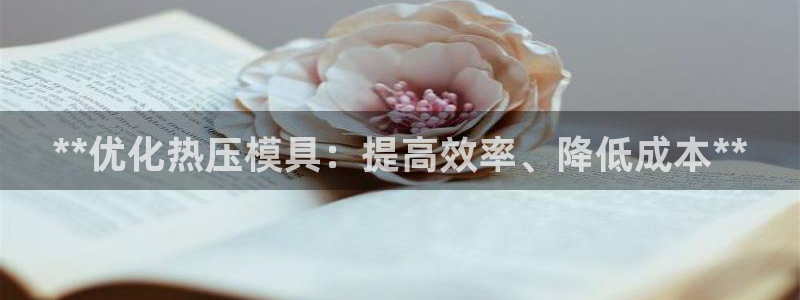 EMC易倍：**优化热压模具：提高效率、降低成本**