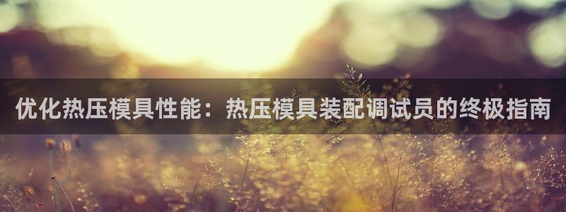 emc网页版：优化热压模具性能：热压模具装配调试员的终极