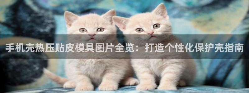 易倍纤使用方法